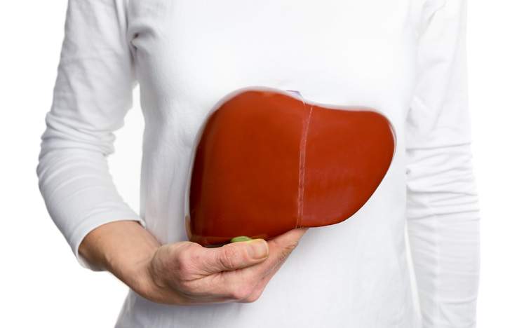 【加拿大肝脏基金会专栏】有关“小心肝”的对与错